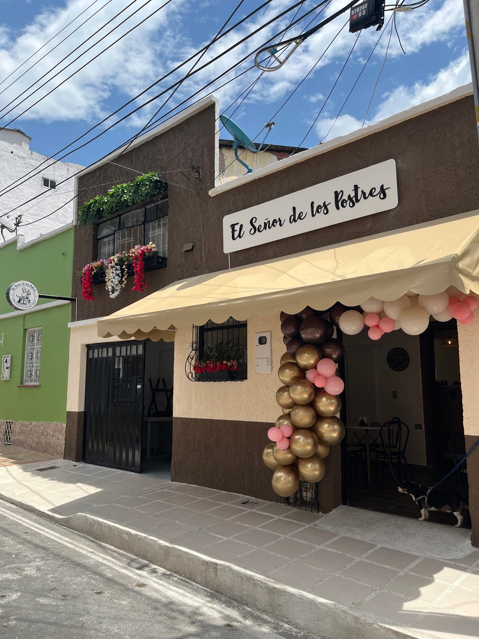 Pastelería El Señor de los Postres - Flan, Milhojas y Repollas